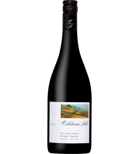 The Esplanade Pinot Noir 2013 Museum Release
